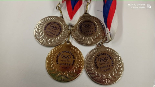 Sportovní hry Teplice 2019